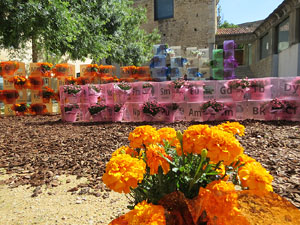 Temps de Flors 2019. Instal&middot;laci&oacute; floral a l'edifici de les &Agrave;ligues i les escales de Sant Dom&egrave;nec