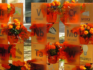 Temps de Flors 2019. Instal&middot;laci&oacute; floral a l'edifici de les &Agrave;ligues i les escales de Sant Dom&egrave;nec
