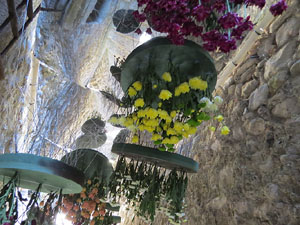 Temps de Flors 2019. Muntatges i instal&middot;lacions florals al carrer de Sant Lloren&ccedil;