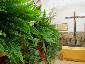 Temps de Flors 2019. Muntatges i instal&middot;lacions florals a l'esgl&eacute;sia de Sant Lluc, el Castrum dels Manaies de Girona