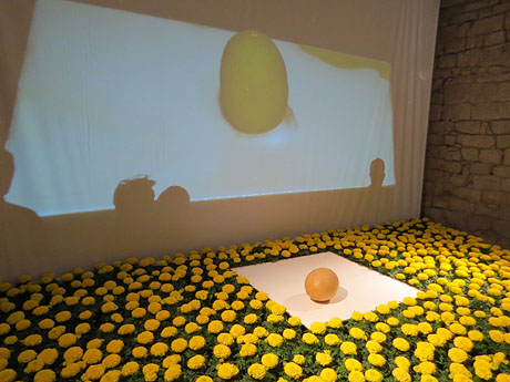 Temps de Flors 2019. Instal&middot;lacions i muntatges florals a la nau rom&agrave;nica de Sant Nicolau