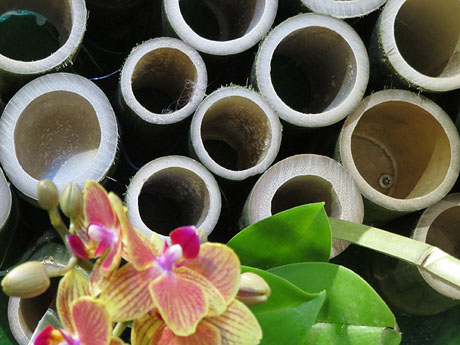 Temps de Flors 2019. Decoracions orientals al primer pis de l'edifici de les Sarra&iuml;nes
