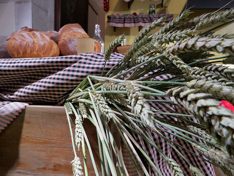 Temps de Flors 2019. Muntatges i instal&middot;lacions florals a l'Esgl&eacute;sia de Sant Mart&iacute; - Antic Seminari