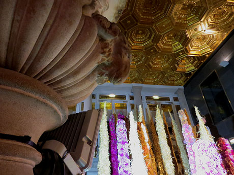 Temps de Flors 2019. Muntatges i instal&middot;lacions florals als diversos espais del Teatre Municipal