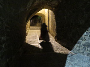 Festival Acocollona't 2019. Ruta teatralitzada de les llegendes de Girona