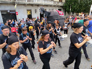 Festival Acocollona't 2019. Passejada i titelles de la Mula Baba