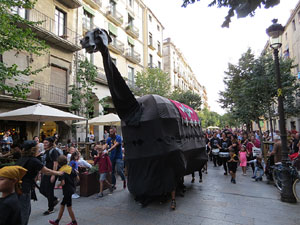 Festival Acocollona't 2019. Passejada i titelles de la Mula Baba