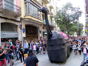 Festival Acocollona't 2019. Passejada i titelles de la Mula Baba