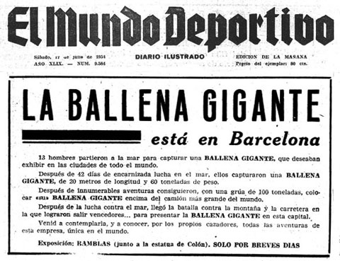 Anunci de 'El Mundo Deportivo' del 17 de juliol de 1954, que informa de la pres&egrave;ncia de la balena a Barcelona