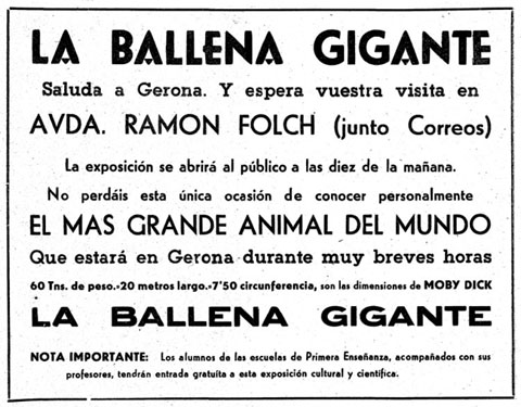 Anunci de l'exhibici&oacute; de la balena a Girona