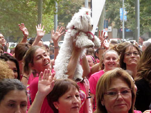 Cursa de la Dona 2019. Concentraci&oacute; i sortida del Parc de la Devesa, cursa pels carrers de Girona i arribada a la Copa