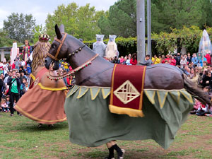 Fires 2019. 38a. Trobada de Gegants de Fires de Sant Narc&iacute;s al Parc del Migdia