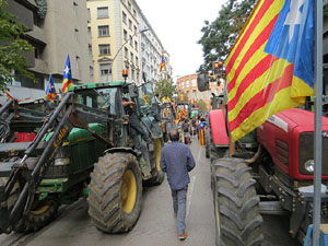 Manifestaci&oacute; per la sent&egrave;ncia del Proc&eacute;s el dia de vaga general