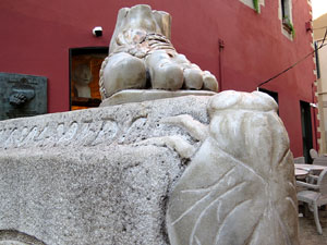 Girona i les mosques. Pres&egrave;ncia d'un animal s&iacute;mbol de la ciutat pels carrers de Girona