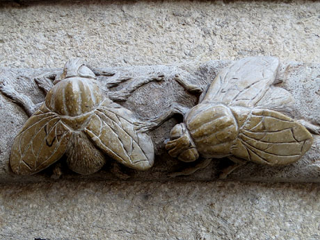 Girona i les mosques. Pres&egrave;ncia d'un animal s&iacute;mbol de la ciutat pels carrers de Girona