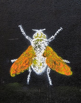 Art urb&agrave;. Mosca en una porta tapiada a la pujada de Sant Feliu
