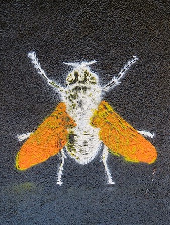 Art urb&agrave;. Mosca en una porta tapiada a la pujada de Sant Feliu
