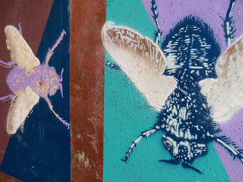 Art Urb&agrave;. Mosques a una tanca d'obra al final del carrer Ballesteries