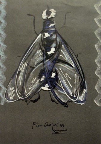 Musca Gerundi, molesta mundi. Pia Crozet. 1999