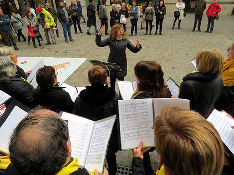 Actuaci&oacute; del cor de l'Ateneu d'Acci&oacute; Cultural (ADAC)