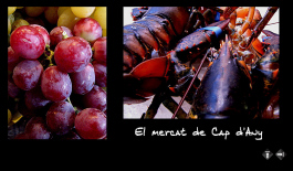 Anar