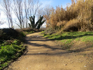 L'itinerari de les Deveses d'en Bru. Ruta del mirador del riu
