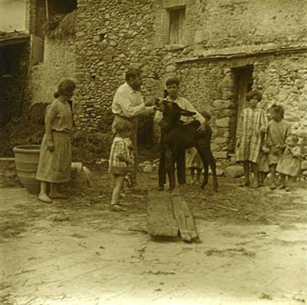 Estada de la fam&iacute;lia Mas&oacute; al Mas Bru de Domeny. Rafael Mas&oacute; amb el seus fills Rosa i Francesc, i altres nens del mas, amb un ase. 26/08/1925
