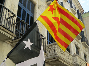 Diada Nacional 2020. Concentraci&oacute; a la pla&ccedil;a del Vi, lectura del manifest i cant de Els Segadors