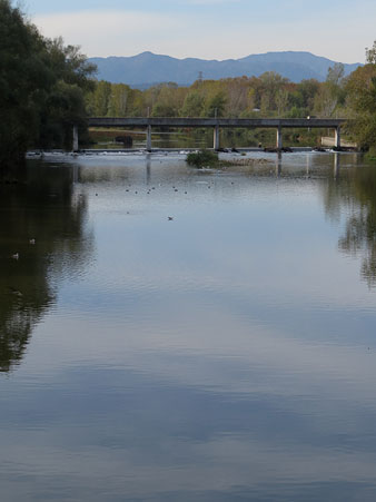 La passera des del pont de la Barca