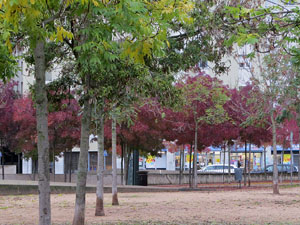 Pla&ccedil;a de l'U d'octubre de 2017