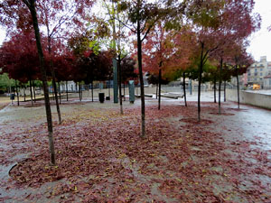 Pla&ccedil;a de l'U d'octubre de 2017
