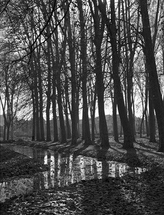 El parc de la Devesa. En primer terme part del rec que voreja els jardins de la reina Vict&ograve;ria. Al fons el pont del carrer Cerver&iacute;, al seu empla&ccedil;ament original, al final de la ronda Ferran Puig. 1947