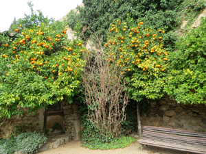 Jardins i Parcs de la ciutat. Jard&iacute; de l'&Agrave;ngel