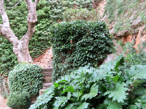 Jardins i Parcs de la ciutat. Jard&iacute; de l'&Agrave;ngel