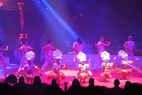 Actuaci&oacute; del X Festival Internacional de Circ Elefant d'Or