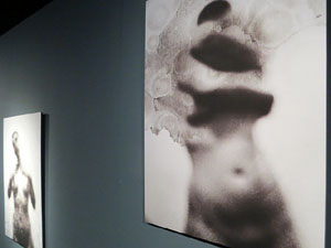 Exposicions i instal&middot;lacions a la planta baixa de la Casa de Cultura