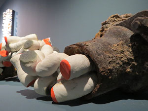 Exposicions i instal&middot;lacions a la planta baixa de la Casa de Cultura