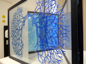 inund'ART 2021. Exposicions i instal&middot;lacions a la Fundaci&oacute; Fita de la Casa de Cultura