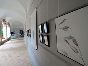 Exposicions, instal&middot;lacions i performances al Centre Cultural la Merc&egrave;