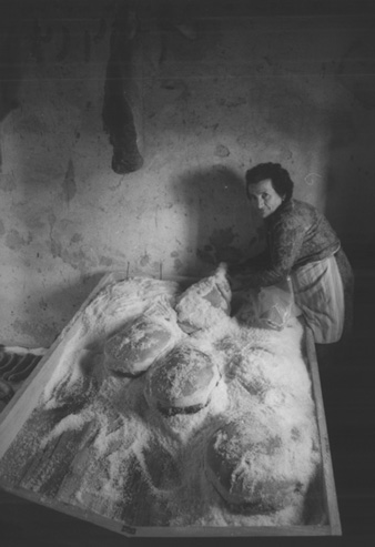 Salat dels pernils. 1983
