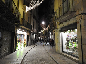 Nadal 2021. Els llums de Nadal