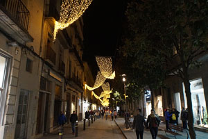 Nadal 2021. Els llums de Nadal