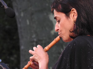 Festival Notes al parc 2021. Sara Par&eacute;s, Oleguer Aymam&iacute; i Dani Espasa