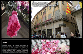 Anar
