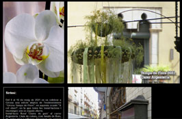 Anar