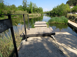 Jardins de Pedret. Observacions naturalistes