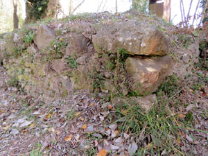 Jardins i Parcs de la ciutat. La pla&ccedil;a de les Sardanes