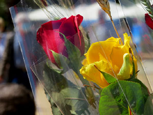 Diada de Sant Jordi 2021 a Girona. Les parades