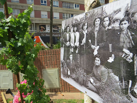 Temps de Flors 2021. Pla&ccedil;a Miquel Santal&oacute;