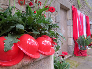 Temps de Flors 2021. Passeig Arqueol&ograve;gic. Circus